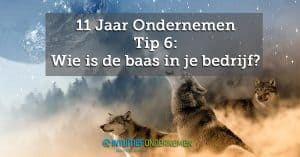 11-tips-6-Wie-is-de-baas