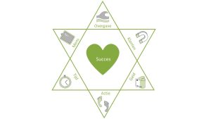 6 succesversnellers NL