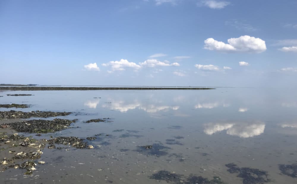 Breekt zo lekker de week stilte