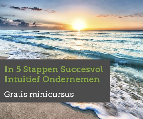 Gratis-minicursus-In-5-Stappen-Succesvol-Intuitief-Ondernemen