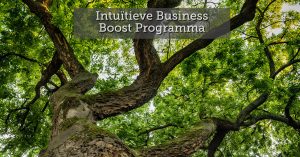 Intuïtieve Business Boost Programma