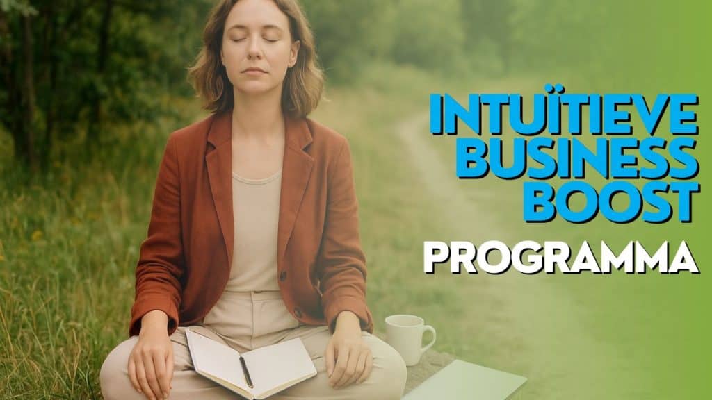 Intuitieve Business Boost Programma