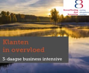 Klanten-in-overvloed
