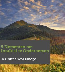 Online-workshops-Intuitief-Ondernemen