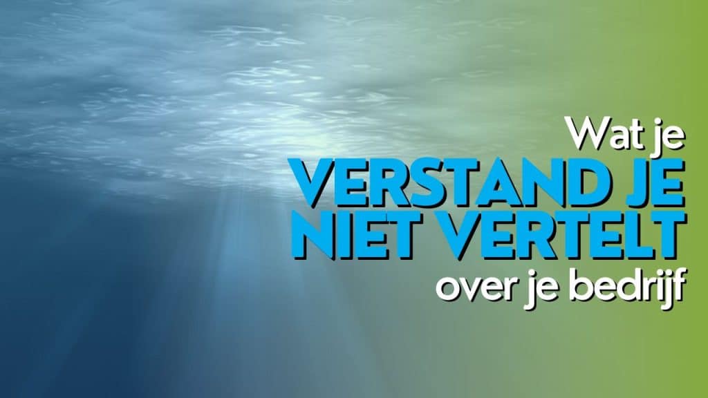 Wat je verstand je niet vertelt over je bedrijf