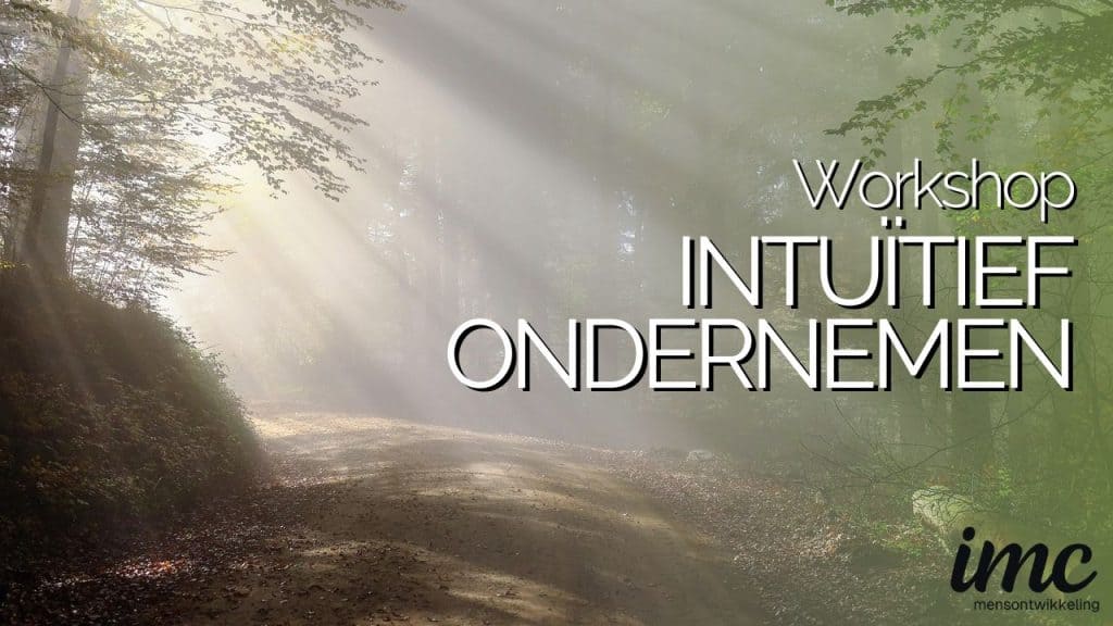 Workshop Intuïtief Ondernemen IMC